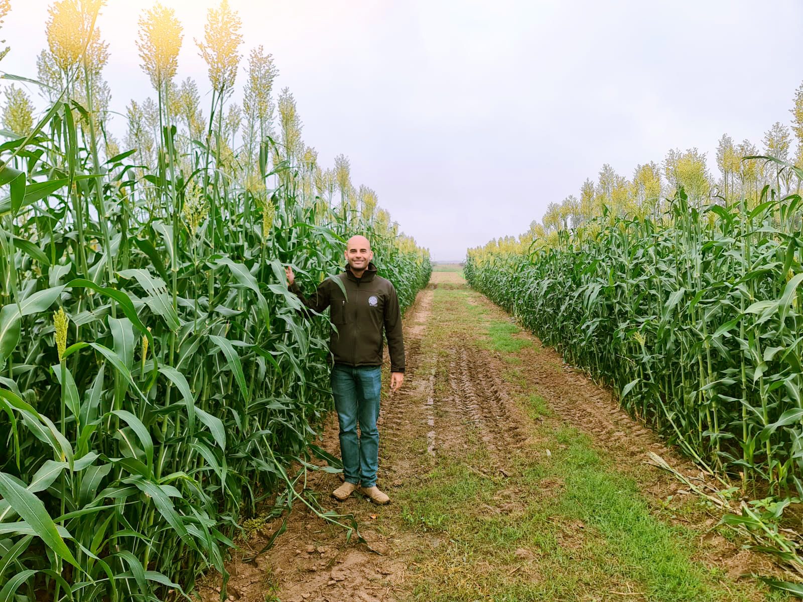 Agrónomo en campo